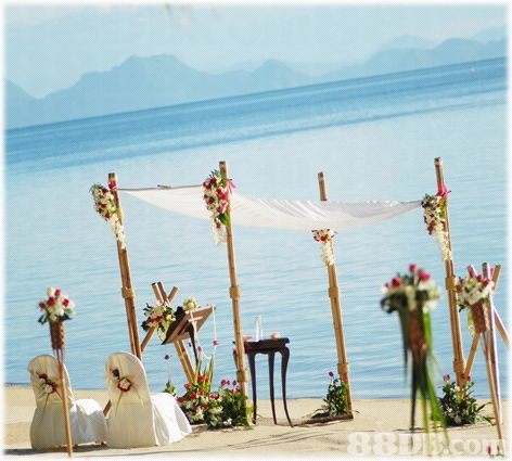 2020年香港婚禮鮮花價格與商戶資訊指南